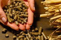 free Sandend biomass boiler quotes